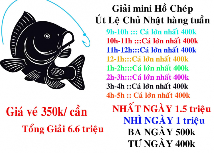 CÓ BÁC NÀO MÊ CÂU CÁ THÌ VÀO ĐÂY VỚI EM