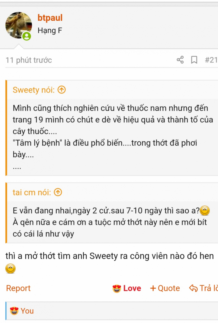 Cây thuốc chữa đau dạ dày