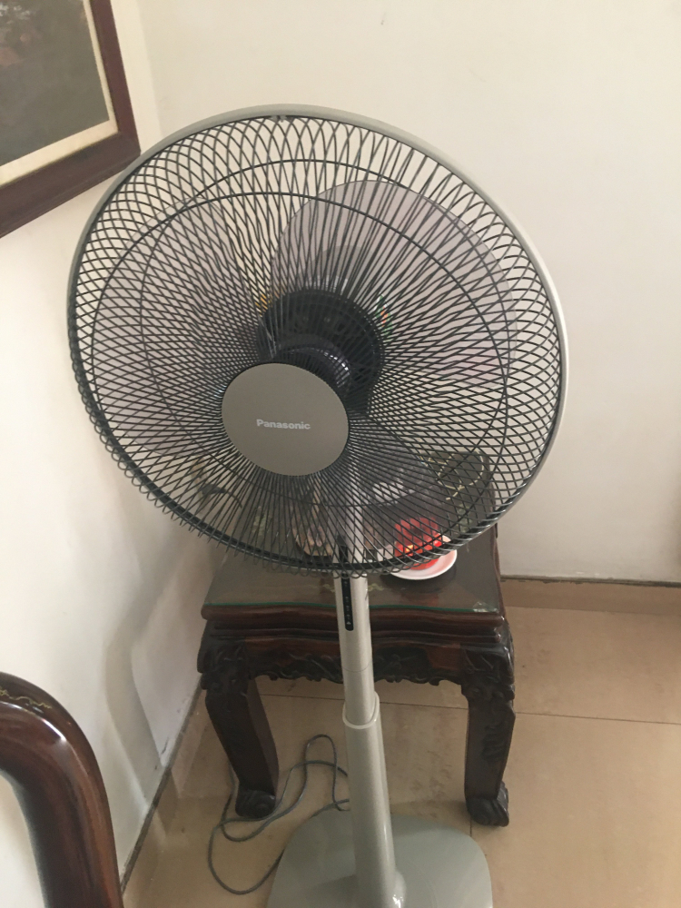 Quạt nghĩa địa Nhật Quạt nghĩa địa Nhật