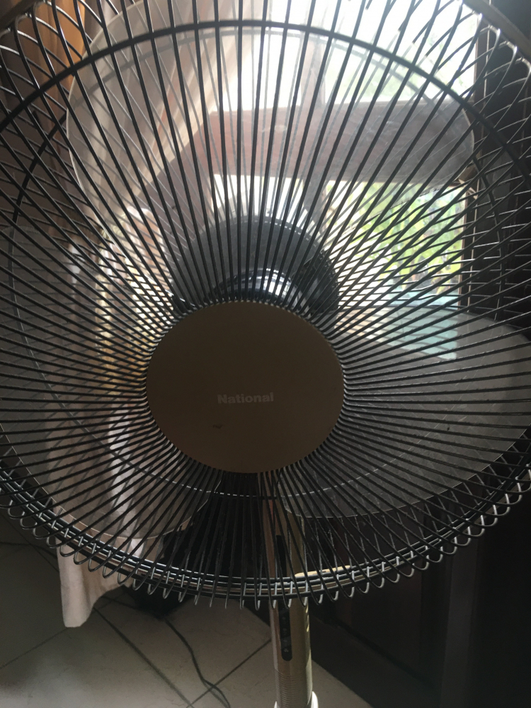Quạt nghĩa địa Nhật Quạt nghĩa địa Nhật