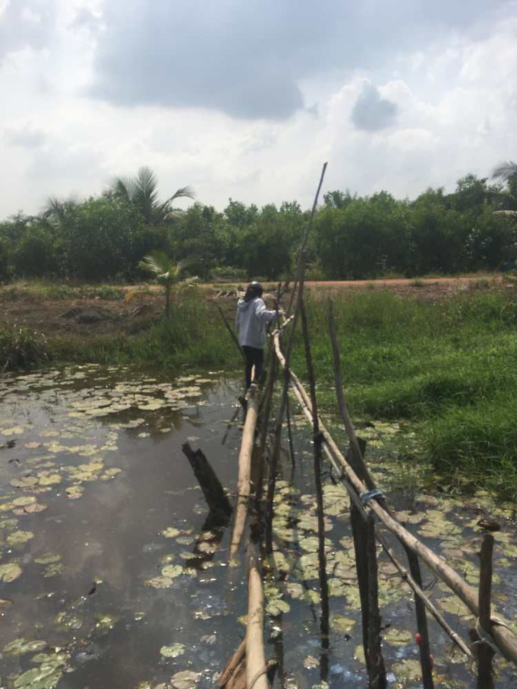 Có người lạ xây lán trại trên đất em Có người lạ xây lán trại trên đất em