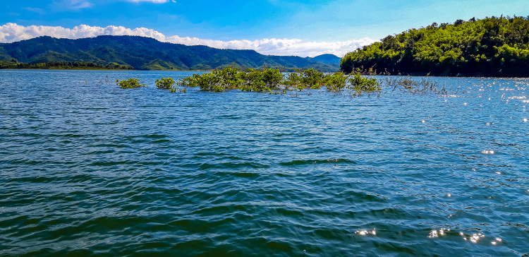 Thông tin xoay quanh BĐS Bảo Lộc.