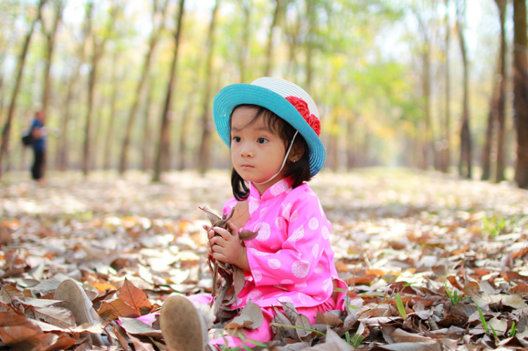 Off chụp hình Cao su mùa thay lá năm 2015 vào chủ nhật 1/2/2015 - HÌNH ẢNH TỪ TRANG 8 Off chụp hình Cao su mùa thay lá năm 2015 vào chủ nhật 1/2/2015 - HÌNH ẢNH TỪ TRANG 8