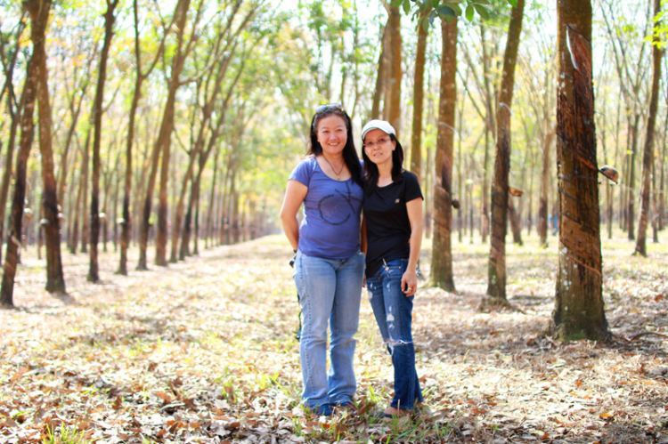 Off chụp hình Cao su mùa thay lá năm 2015 vào chủ nhật 1/2/2015 - HÌNH ẢNH TỪ TRANG 8 Off chụp hình Cao su mùa thay lá năm 2015 vào chủ nhật 1/2/2015 - HÌNH ẢNH TỪ TRANG 8