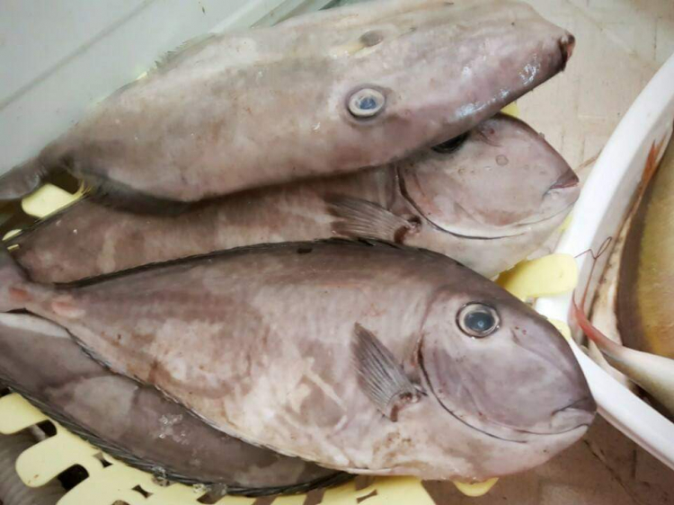 Chỗ ăn bánh căn ngon
