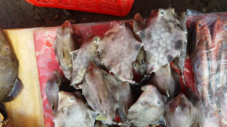 Chỗ ăn bánh căn ngon
