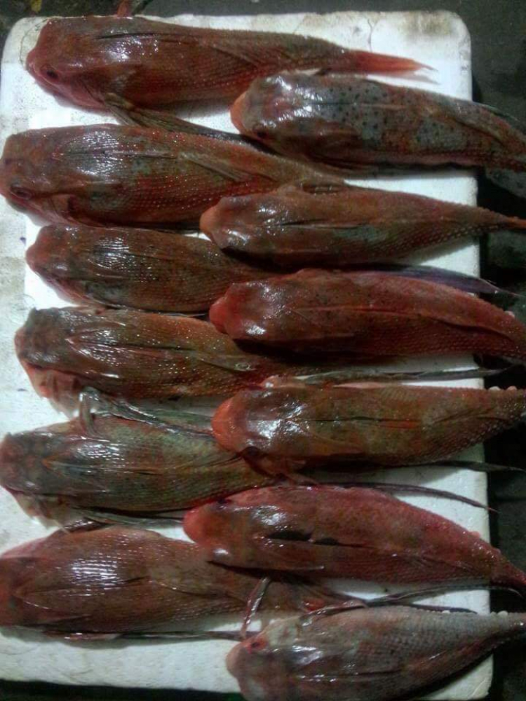 Chỗ ăn bánh căn ngon