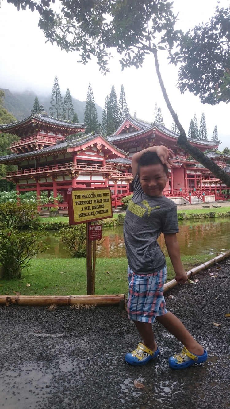 Road trip Mỹ, đi sao cho an toàn? Road trip Mỹ, đi sao cho an toàn?