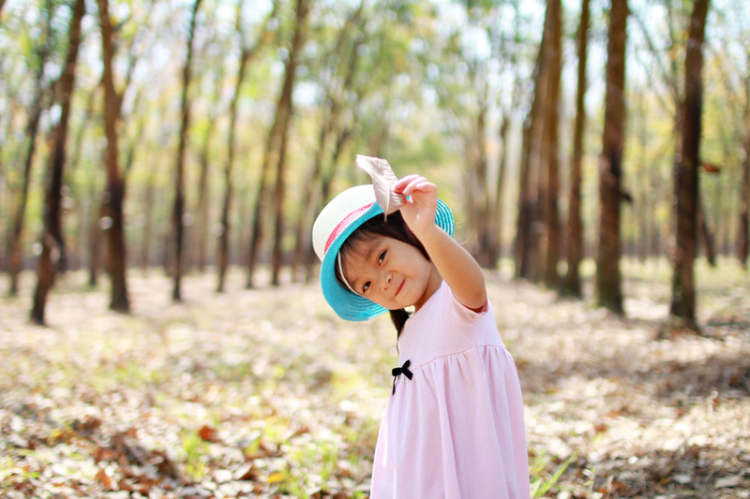Off chụp hình Cao su mùa thay lá năm 2015 vào chủ nhật 1/2/2015 - HÌNH ẢNH TỪ TRANG 8 Off chụp hình Cao su mùa thay lá năm 2015 vào chủ nhật 1/2/2015 - HÌNH ẢNH TỪ TRANG 8