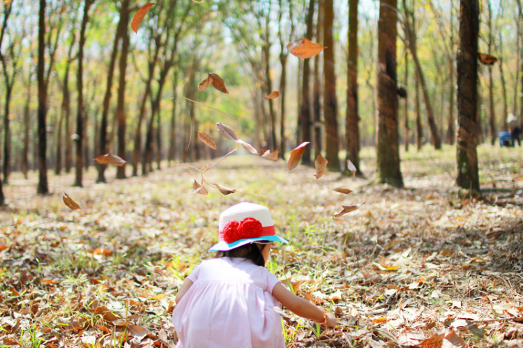 Off chụp hình Cao su mùa thay lá năm 2015 vào chủ nhật 1/2/2015 - HÌNH ẢNH TỪ TRANG 8 Off chụp hình Cao su mùa thay lá năm 2015 vào chủ nhật 1/2/2015 - HÌNH ẢNH TỪ TRANG 8