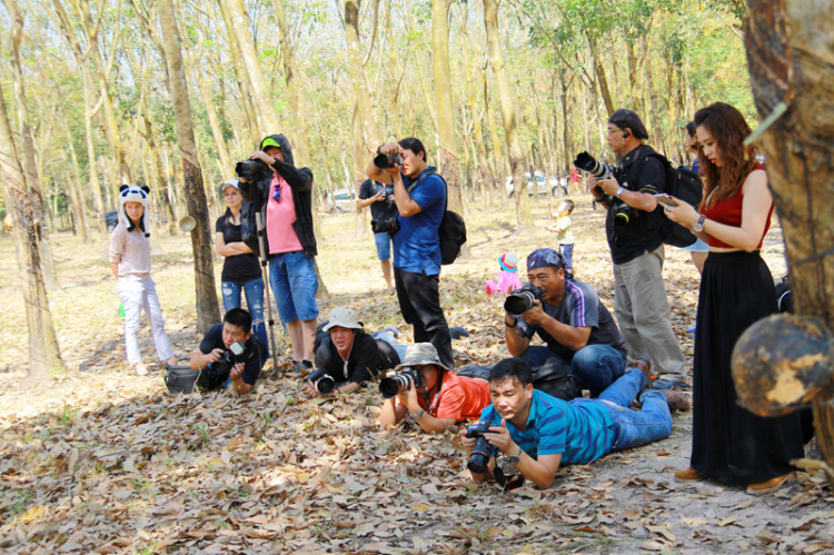 Off chụp hình Cao su mùa thay lá năm 2015 vào chủ nhật 1/2/2015 - HÌNH ẢNH TỪ TRANG  8