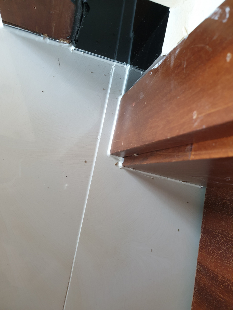 Hỏi dịch vụ diệt côn trùng và kiến cho căn hộ Hỏi dịch vụ diệt côn trùng và kiến cho căn hộ