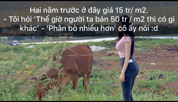 2020 liệu có còn cơ hội cho dân lướt sóng bds !!! 2020 liệu có còn cơ hội cho dân lướt sóng bds !!!