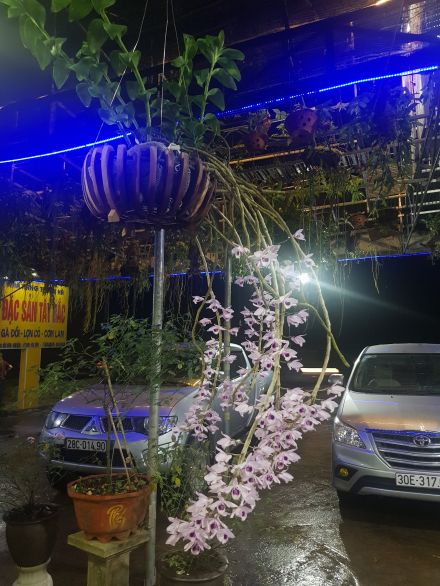 20190603_191059.jpg