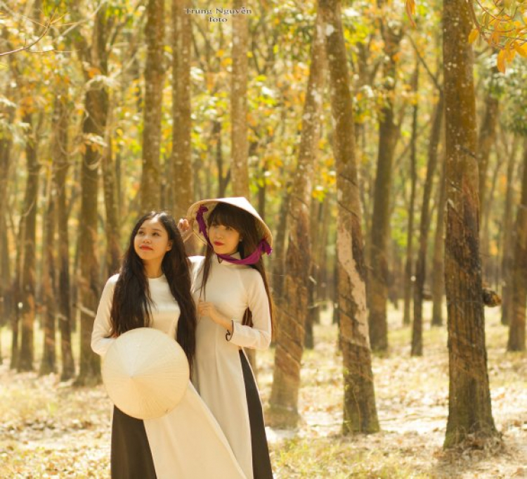 Off chụp hình Cao su mùa thay lá năm 2015 vào chủ nhật 1/2/2015 - HÌNH ẢNH TỪ TRANG 8 Off chụp hình Cao su mùa thay lá năm 2015 vào chủ nhật 1/2/2015 - HÌNH ẢNH TỪ TRANG 8