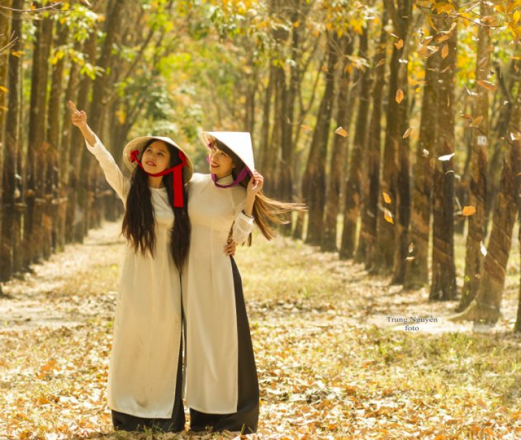 Off chụp hình Cao su mùa thay lá năm 2015 vào chủ nhật 1/2/2015 - HÌNH ẢNH TỪ TRANG 8 Off chụp hình Cao su mùa thay lá năm 2015 vào chủ nhật 1/2/2015 - HÌNH ẢNH TỪ TRANG 8