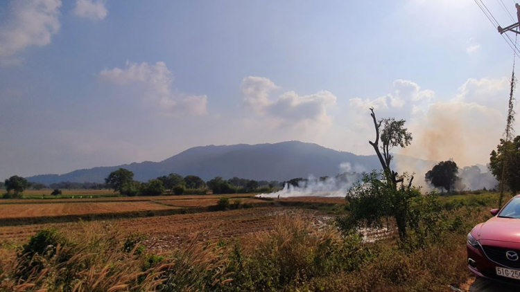 Mekong ký sự - 7 ngày vòng quanh sóng nước miền Tây với gia đình có 2 em bé nhỏ