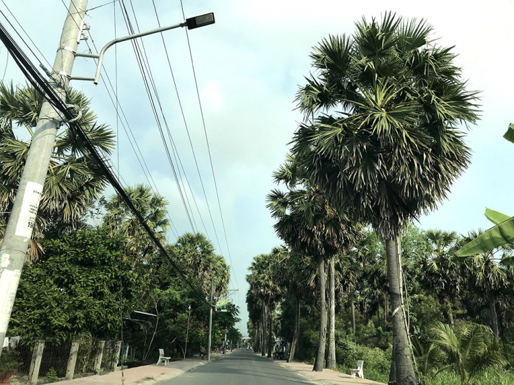 Mekong ký sự - 7 ngày vòng quanh sóng nước miền Tây với gia đình có 2 em bé nhỏ