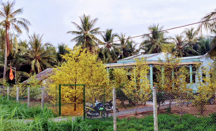 Mekong ký sự - 7 ngày vòng quanh sóng nước miền Tây với gia đình có 2 em bé nhỏ