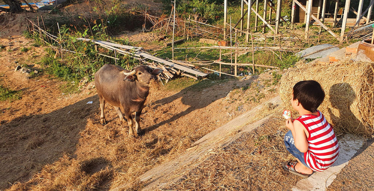 Mekong ký sự - 7 ngày vòng quanh sóng nước miền Tây với gia đình có 2 em bé nhỏ Mekong ký sự - 7 ngày vòng quanh sóng nước miền Tây với gia đình có 2 em bé nhỏ