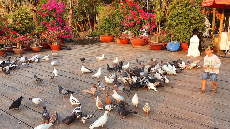 Mekong ký sự - 7 ngày vòng quanh sóng nước miền Tây với gia đình có 2 em bé nhỏ Mekong ký sự - 7 ngày vòng quanh sóng nước miền Tây với gia đình có 2 em bé nhỏ