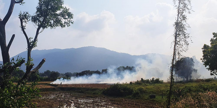 Mekong ký sự - 7 ngày vòng quanh sóng nước miền Tây với gia đình có 2 em bé nhỏ