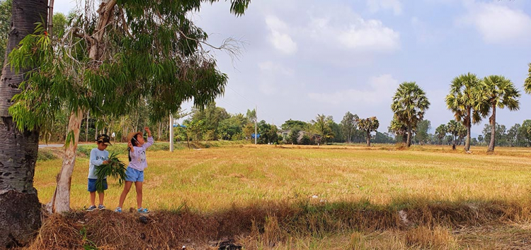 Mekong ký sự - 7 ngày vòng quanh sóng nước miền Tây với gia đình có 2 em bé nhỏ