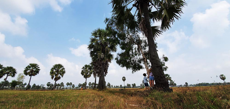Mekong ký sự - 7 ngày vòng quanh sóng nước miền Tây với gia đình có 2 em bé nhỏ Mekong ký sự - 7 ngày vòng quanh sóng nước miền Tây với gia đình có 2 em bé nhỏ