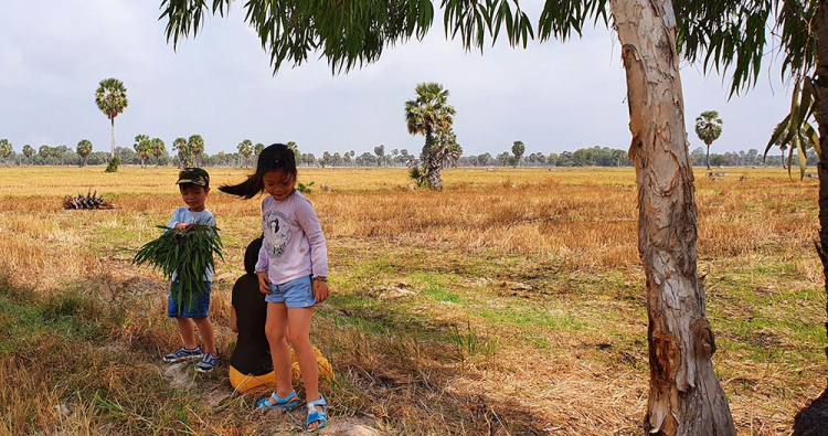 Mekong ký sự - 7 ngày vòng quanh sóng nước miền Tây với gia đình có 2 em bé nhỏ