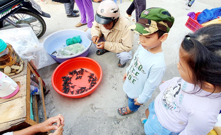 Mekong ký sự - 7 ngày vòng quanh sóng nước miền Tây với gia đình có 2 em bé nhỏ