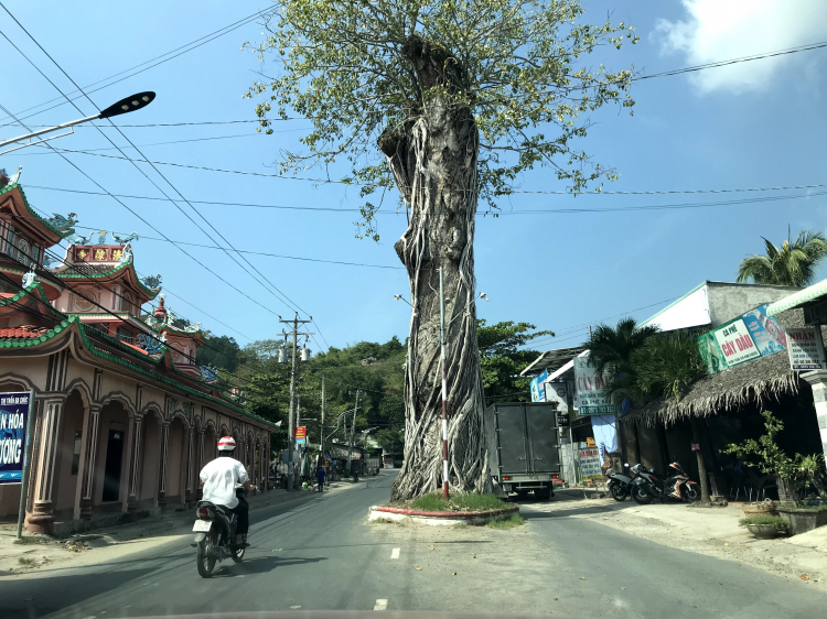 Mekong ký sự - 7 ngày vòng quanh sóng nước miền Tây với gia đình có 2 em bé nhỏ