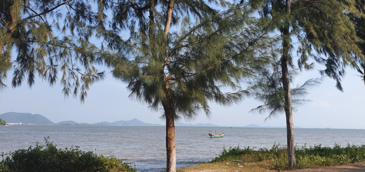 Mekong ký sự - 7 ngày vòng quanh sóng nước miền Tây với gia đình có 2 em bé nhỏ