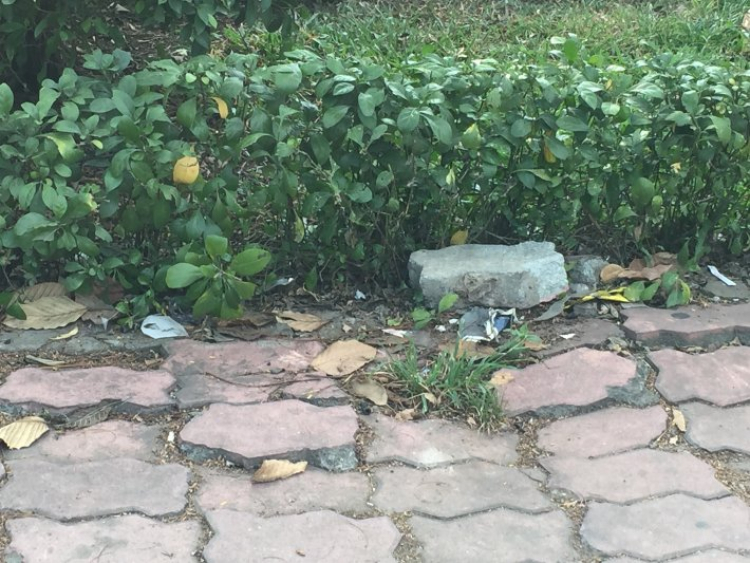 Lý thường kiệt cập nhật ngày 9/2/2015 Lý thường kiệt cập nhật ngày 9/2/2015