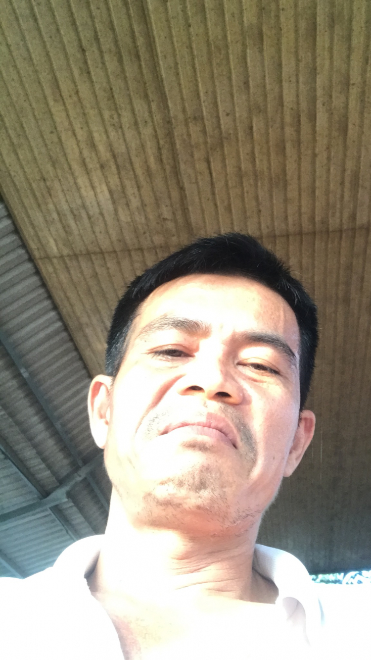 tìm chỗ mua heo rừng nguyên con ở Sài gòn? tìm chỗ mua heo rừng nguyên con ở Sài gòn?