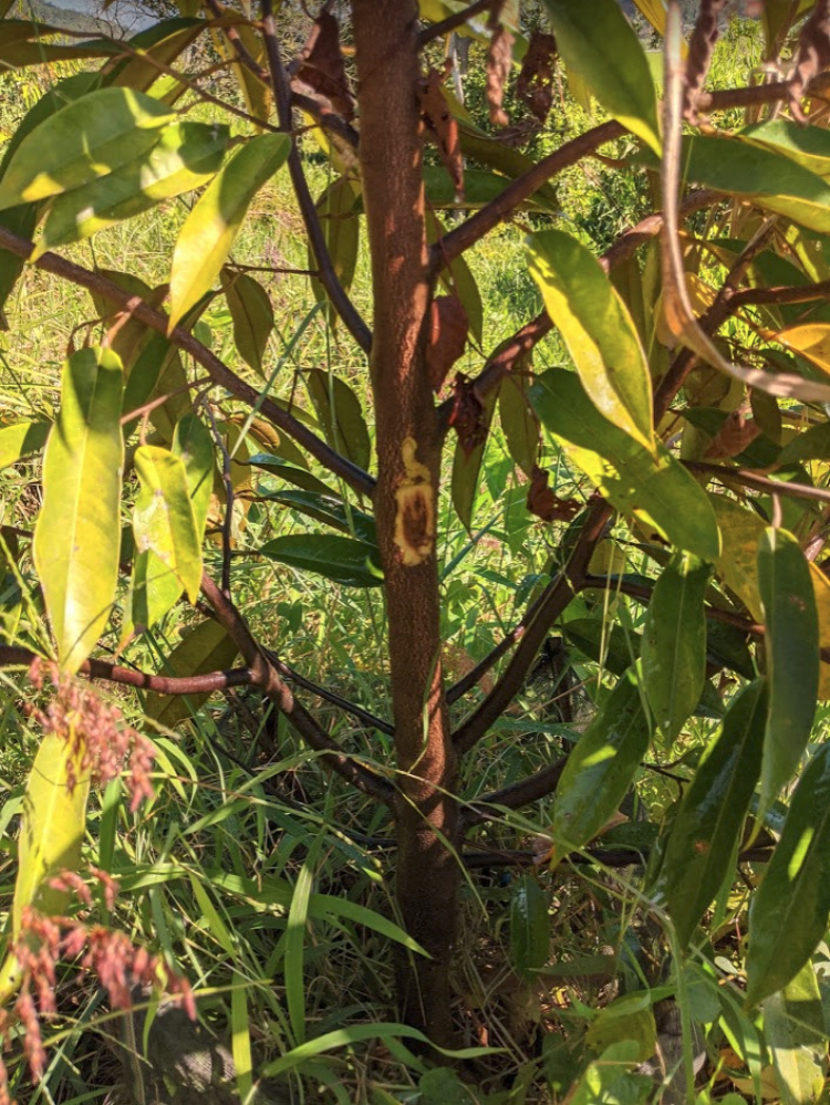 Làm nông? Sống được ko? Làm nông? Sống được ko?