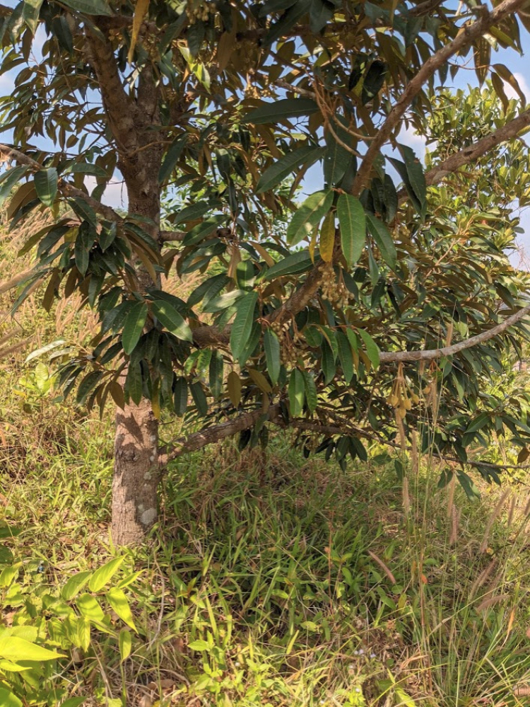 Làm nông? Sống được ko? Làm nông? Sống được ko?