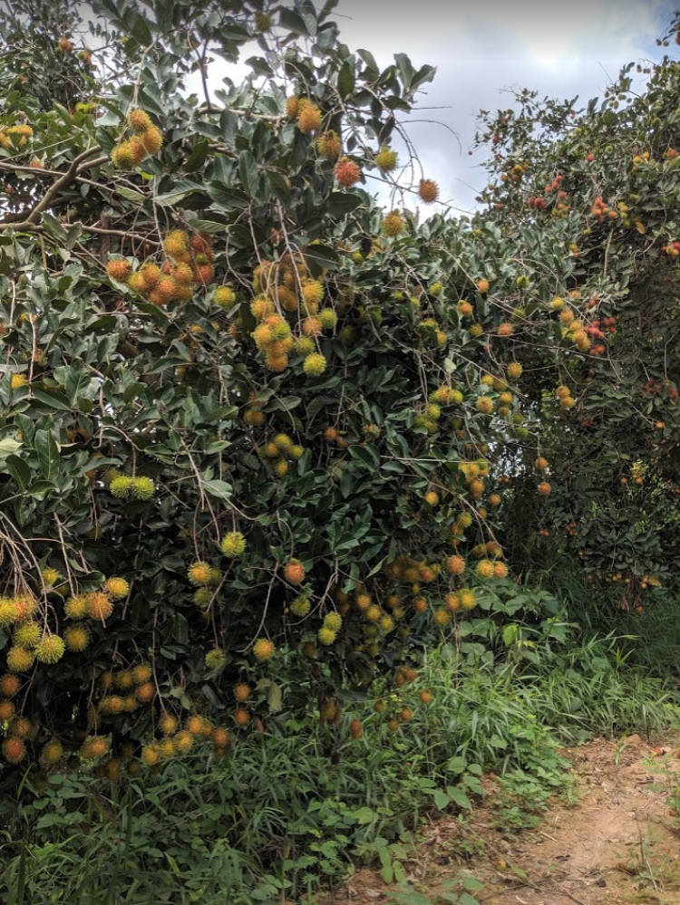 Làm nông? Sống được ko? Làm nông? Sống được ko?