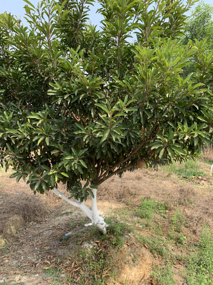 Làm nông? Sống được ko? Làm nông? Sống được ko?