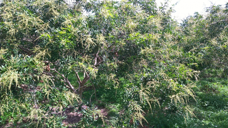 Làm nông? Sống được ko? Làm nông? Sống được ko?