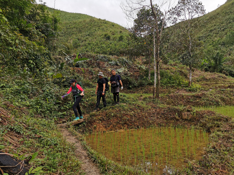 Theo dấu làng Aur