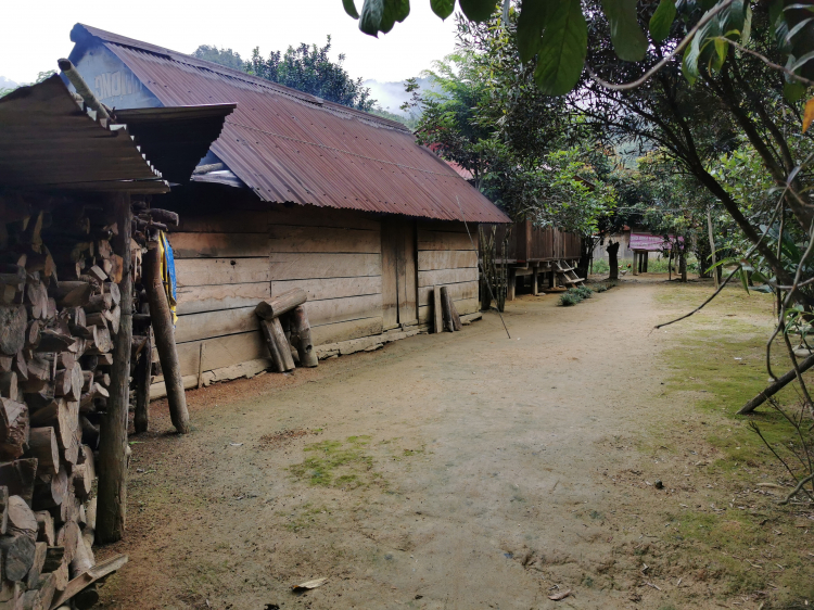 Theo dấu làng Aur