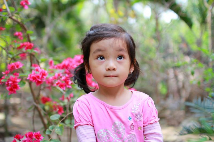 GMFCers du xuân Tết Ất Mùi GMFCers du xuân Tết Ất Mùi