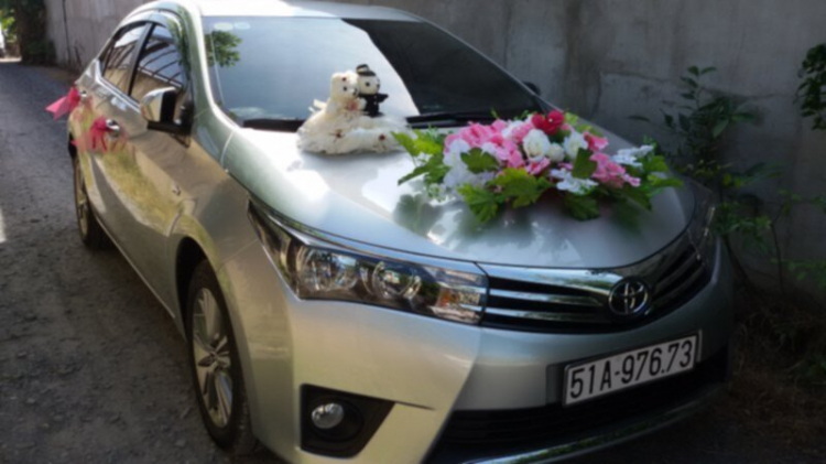 Cuối năm, vào Kia Phú Mỹ Hưng phát hiện nhiều điều buồn cười! Cuối năm, vào Kia Phú Mỹ Hưng phát hiện nhiều điều buồn cười!