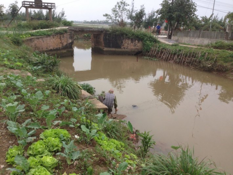 Tết Quê.