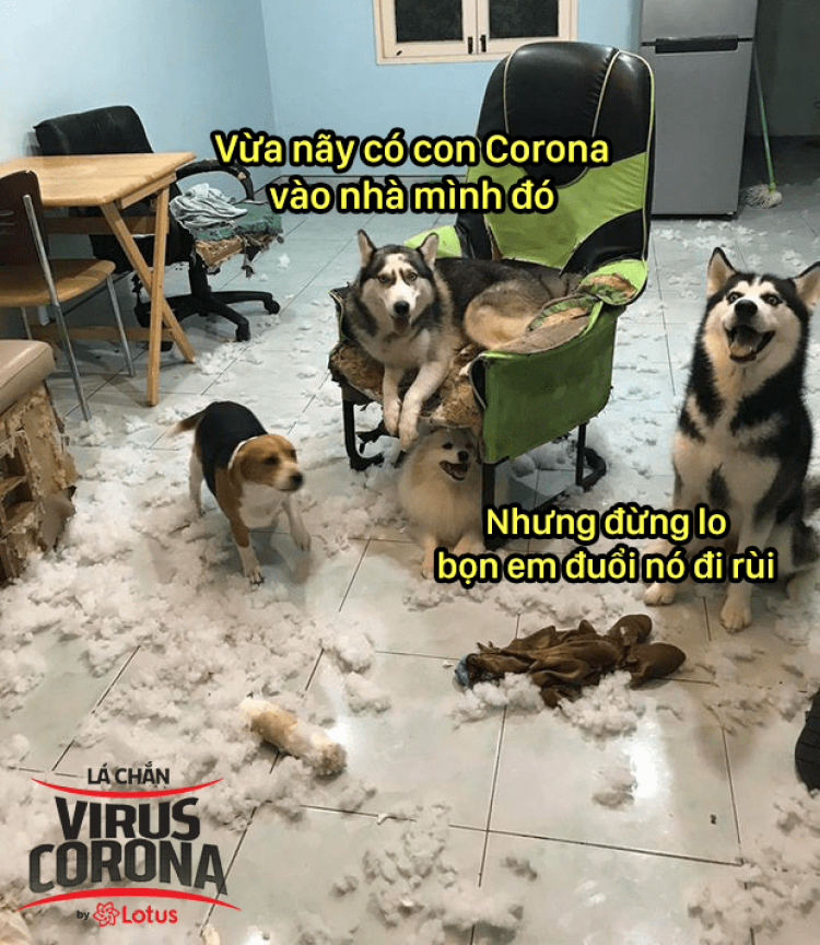 Novaland kêu cứu ?!?? Novaland kêu cứu ?!??