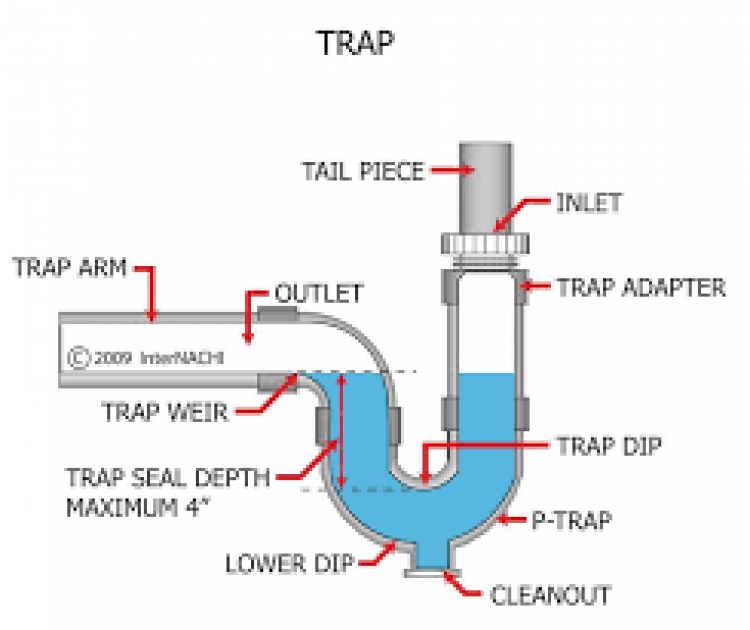 Lỗ thoát trong WC có mùi hôi