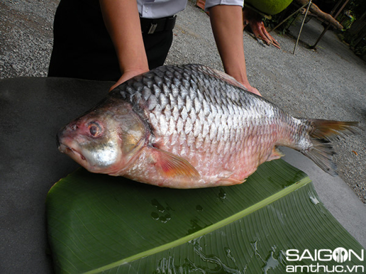 Thành phố Dĩ An - Thành phố Thuận An ...