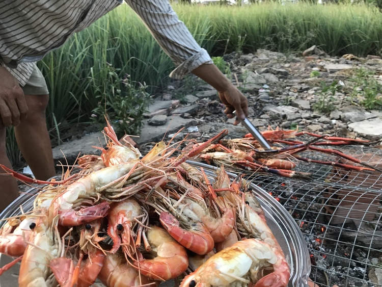 Giải cứu tôm hùm xanh Giải cứu tôm hùm xanh