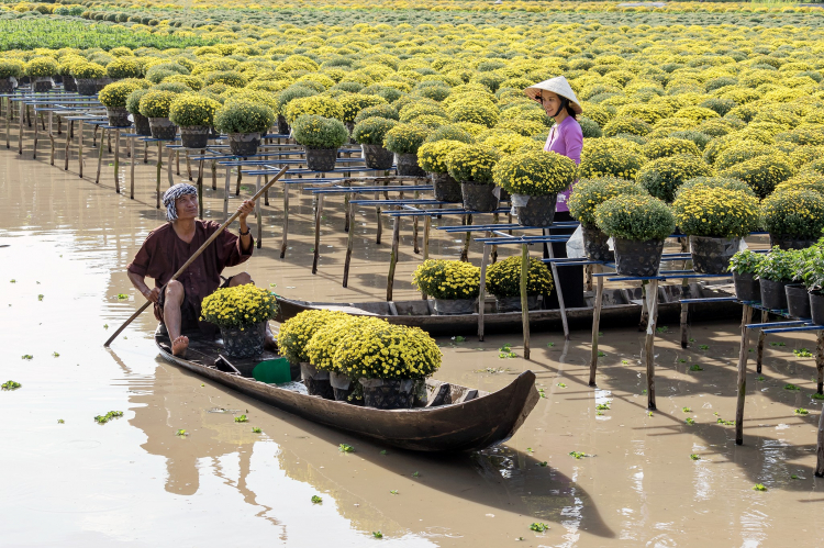 Địa điểm du lịch Miền Tây ấn tượng nhất định phải đến