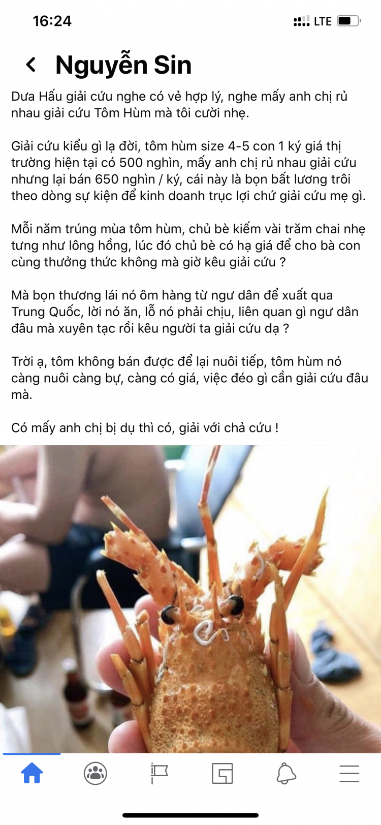 Giải cứu tôm hùm xanh